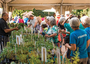 fall plant and bulb sale