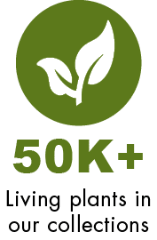 50K+ Living plants in our collection