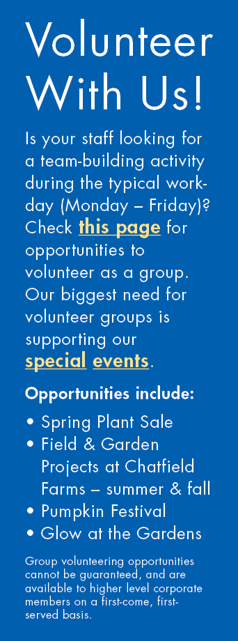 Volunteer With Us! Is your staff looking for a team-building activity during the typical workday (Monday – Friday)? C...