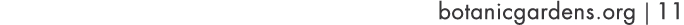 botanicgardens org   11