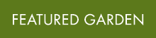 Featured garden