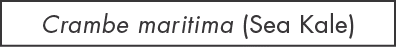     StateType Normal