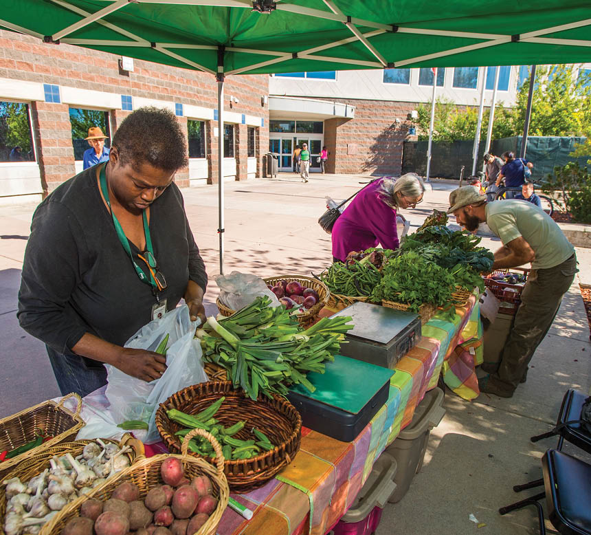 UFI farm stand