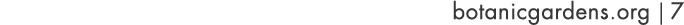 botanicgardens org   7