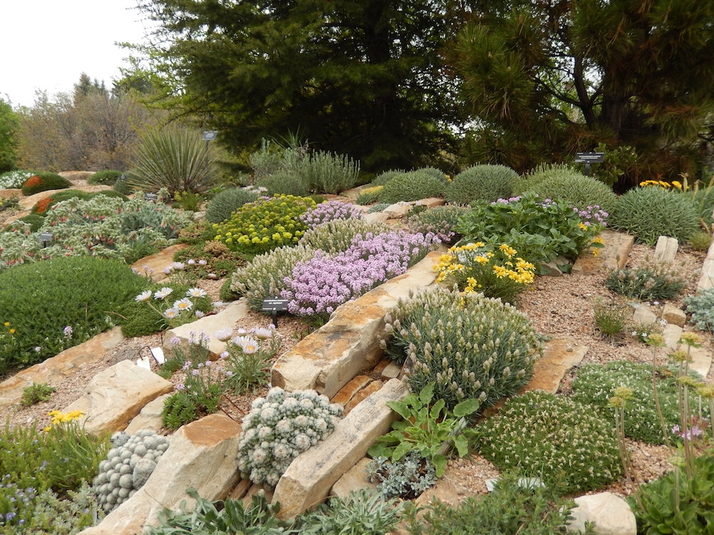 Crevice garden in the Rock Alpine Garden