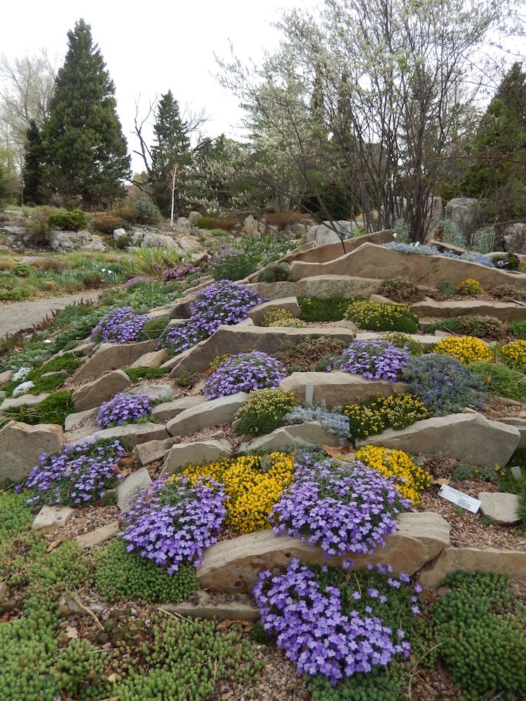 Crevice garden west of the meadows
