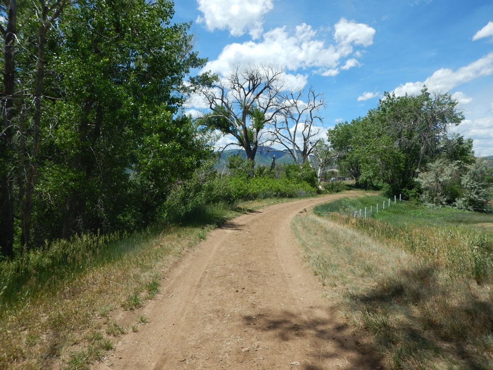 Sparse cottonwoods along dirt section of the canal near the foothills.