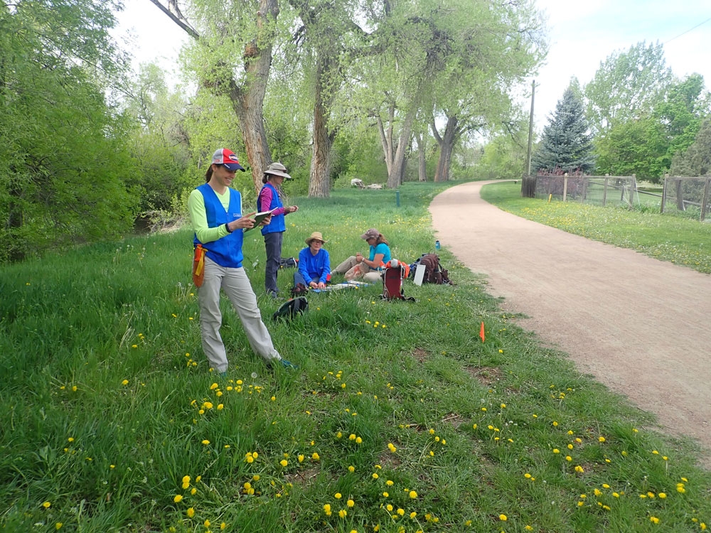 Denver Botanic Gardens botany field crew along the High Line Canal trail.