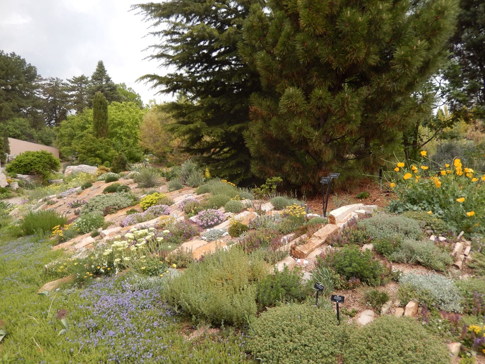 alpine collection gallery 3