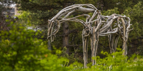 Minimalist horse sculpture using branch and stick pieces