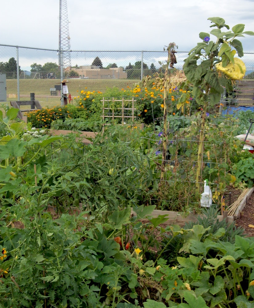 Community Garden Gallery