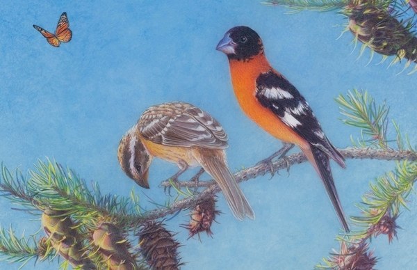 painting of birds on a branch