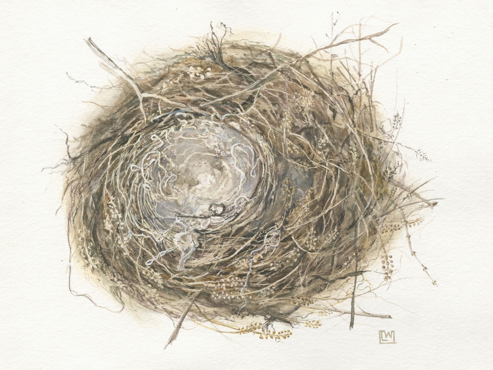 Watercolor painting of nest