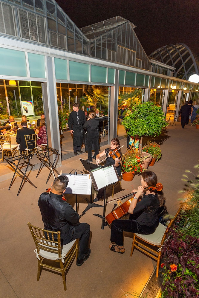 Musicians planing outside of the orangery
