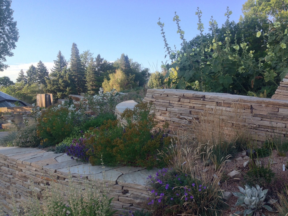 The Flora of Central Asia in the Steppe Garden