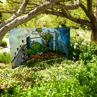 painting amongst trees
