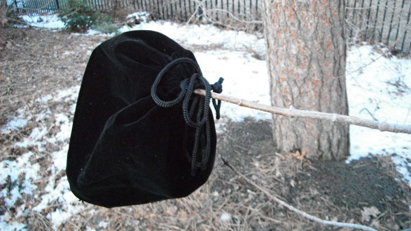 black bag on tip of branch