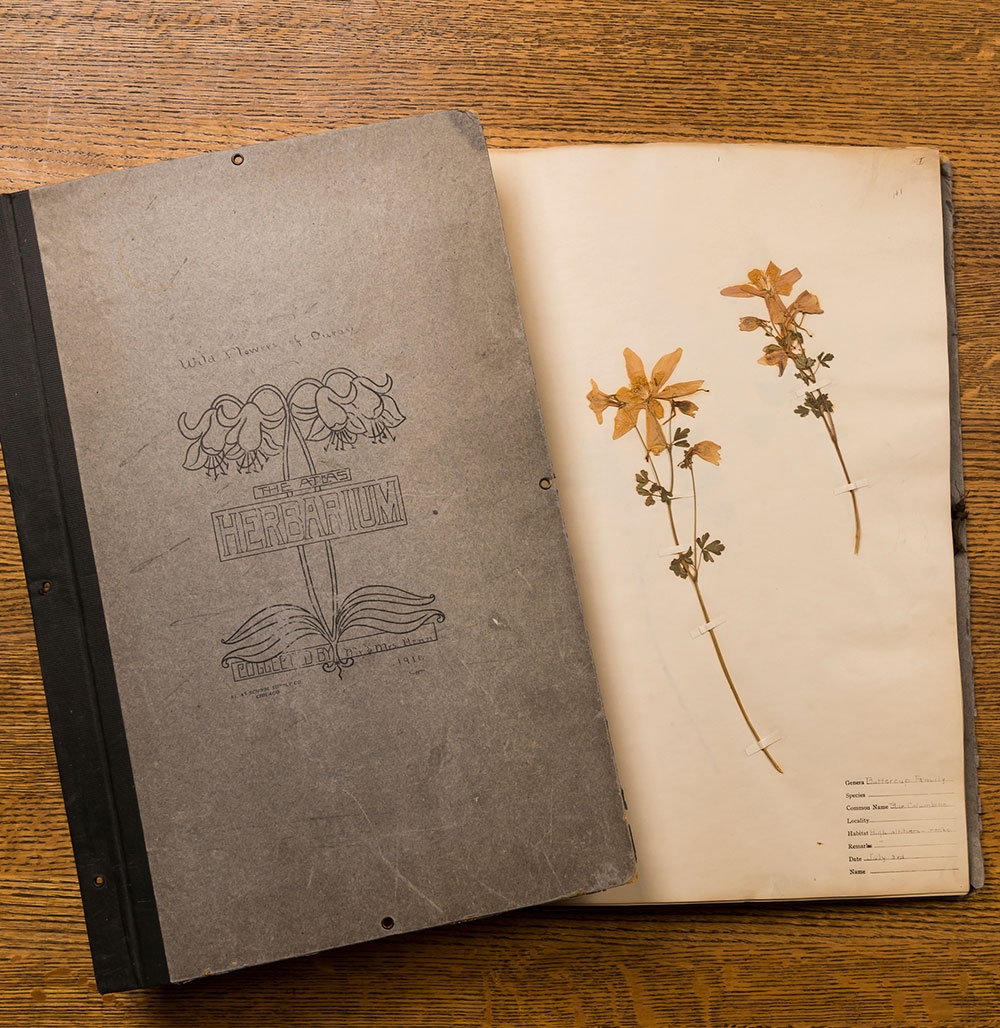 Bound herbarium sheets, 1910