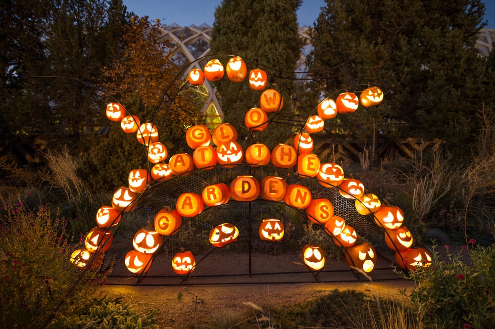 pumpkins carved with letters to spell glow at the gardens styled into arches
