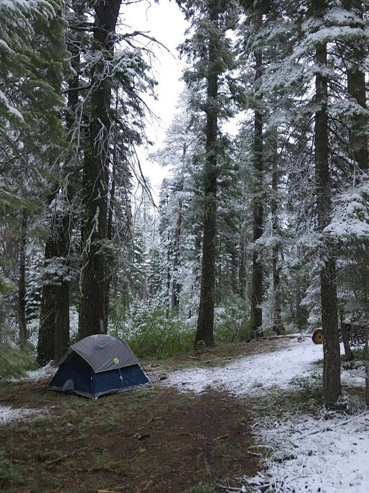 snow in a campsite in the sierra nevadas