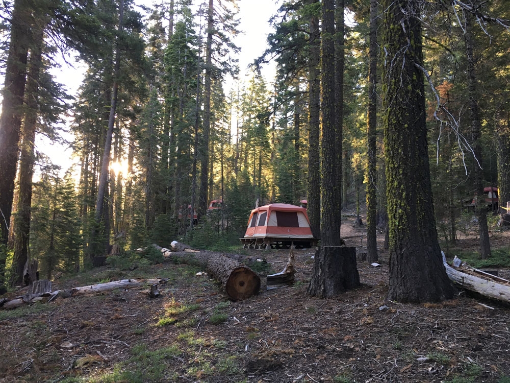 wilderness in the sierra nevadas