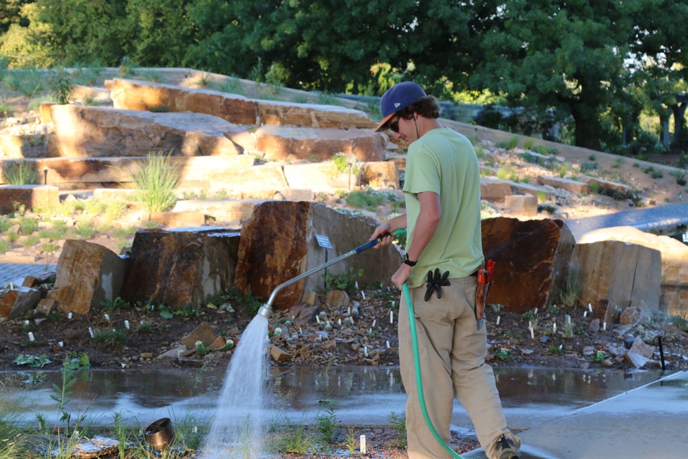 New plants getting care on hot days