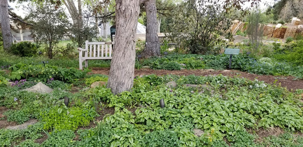 Shady Lane resting spot