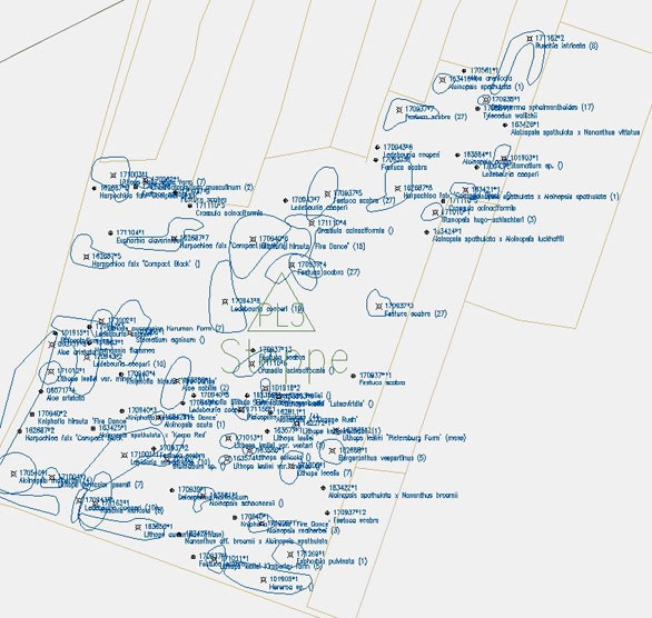 steppe garden blueprints