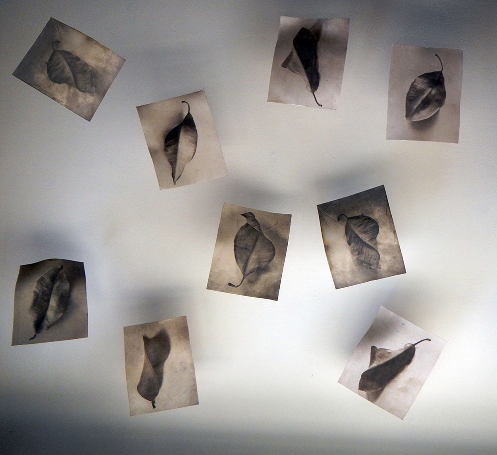 Melanie Walker, Leaves of Absence, print on silk, 2020.