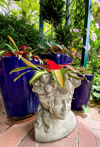 ladyhead planter