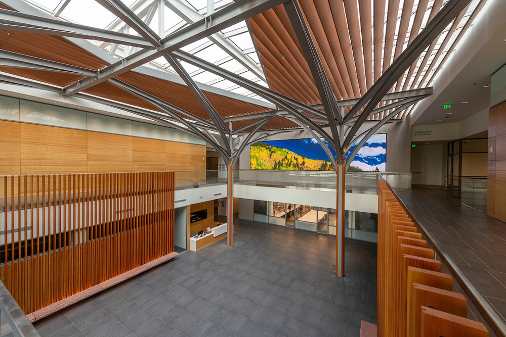 Freyer - Newman Center Atrium