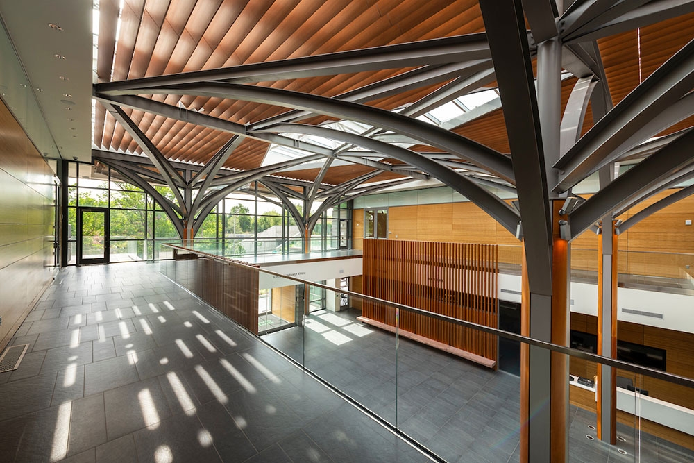 Freyer - Newman Center Atrium