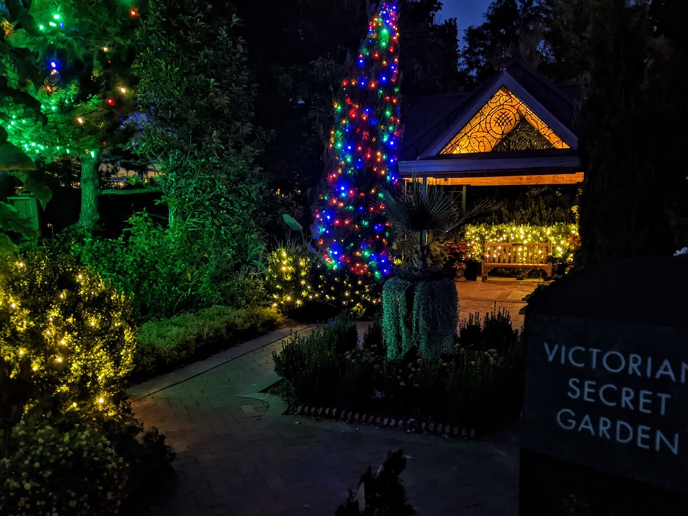 BOL Engagement Package