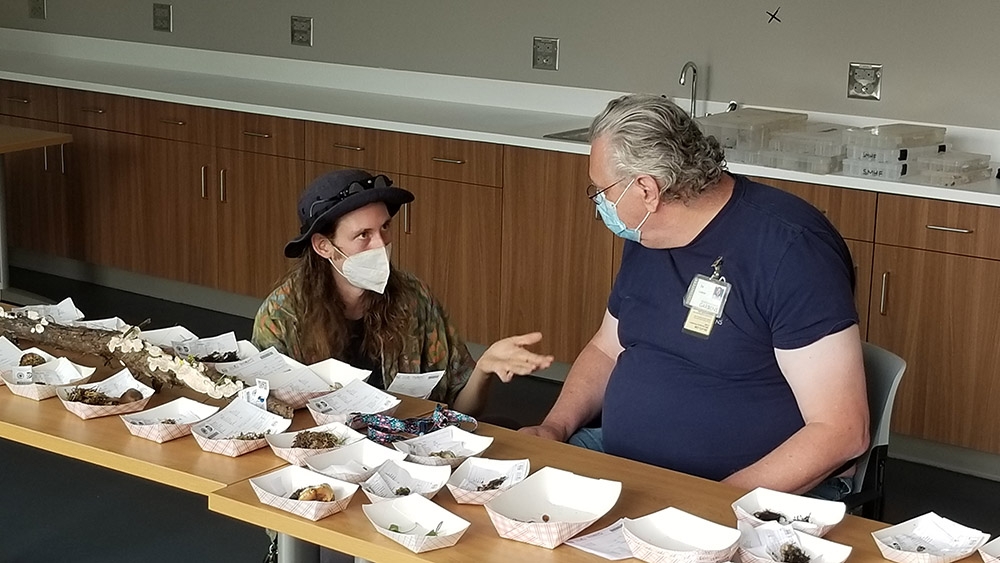 Identifying mushrooms