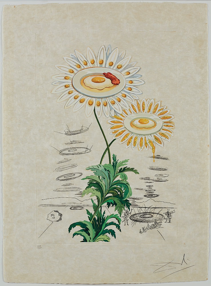 Salvador Dalí, Marguerite (Chrysanthemum frutescens) from FlorDali, 1968, photolithograph with original engraved remarque and color.