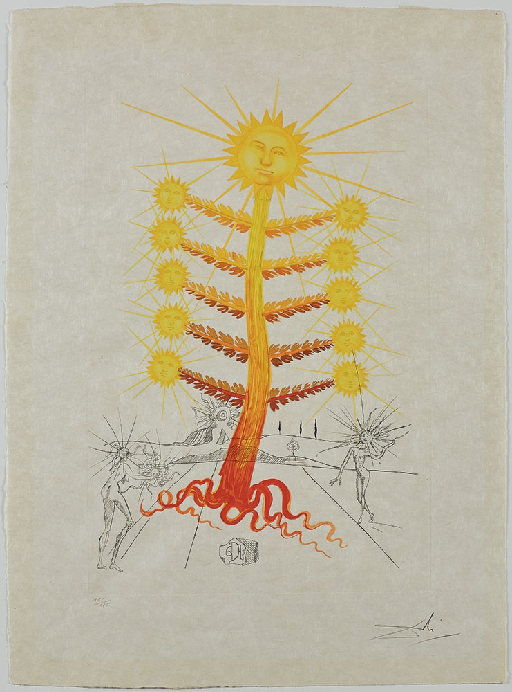 Salvador Dalí, Soleil (Helianthus solifer) from FlorDalí, 1968, photolithograph with original engraved remarque and color. Collection of The Dalí Museum, St. Petersburg, FL (USA) 2021, © Salvador Dalí Fundació Gala-Salvador Dalí (ARS), 2021.