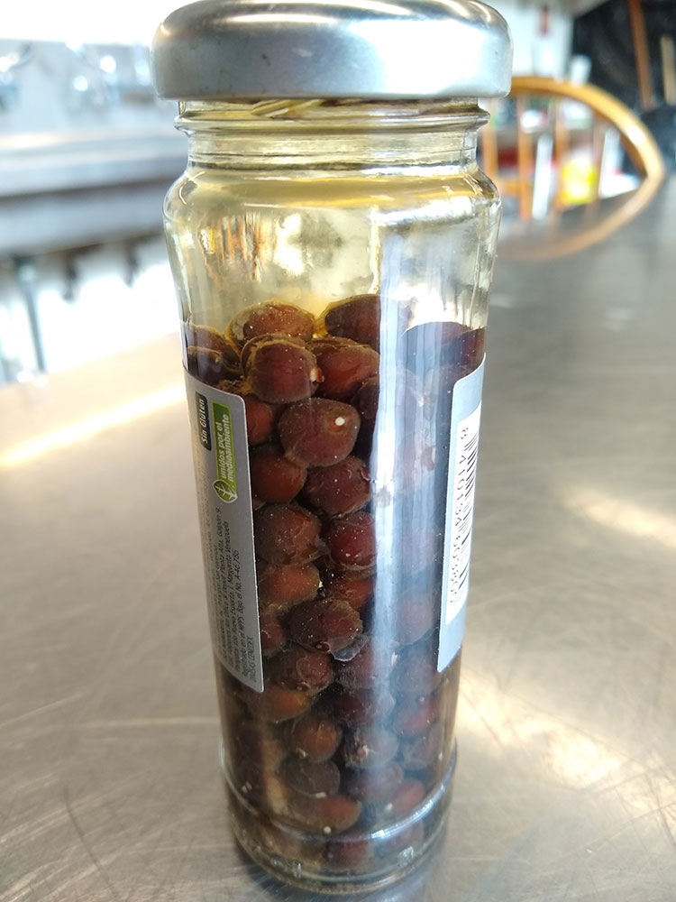 Vial of Victoria amazonica seeds