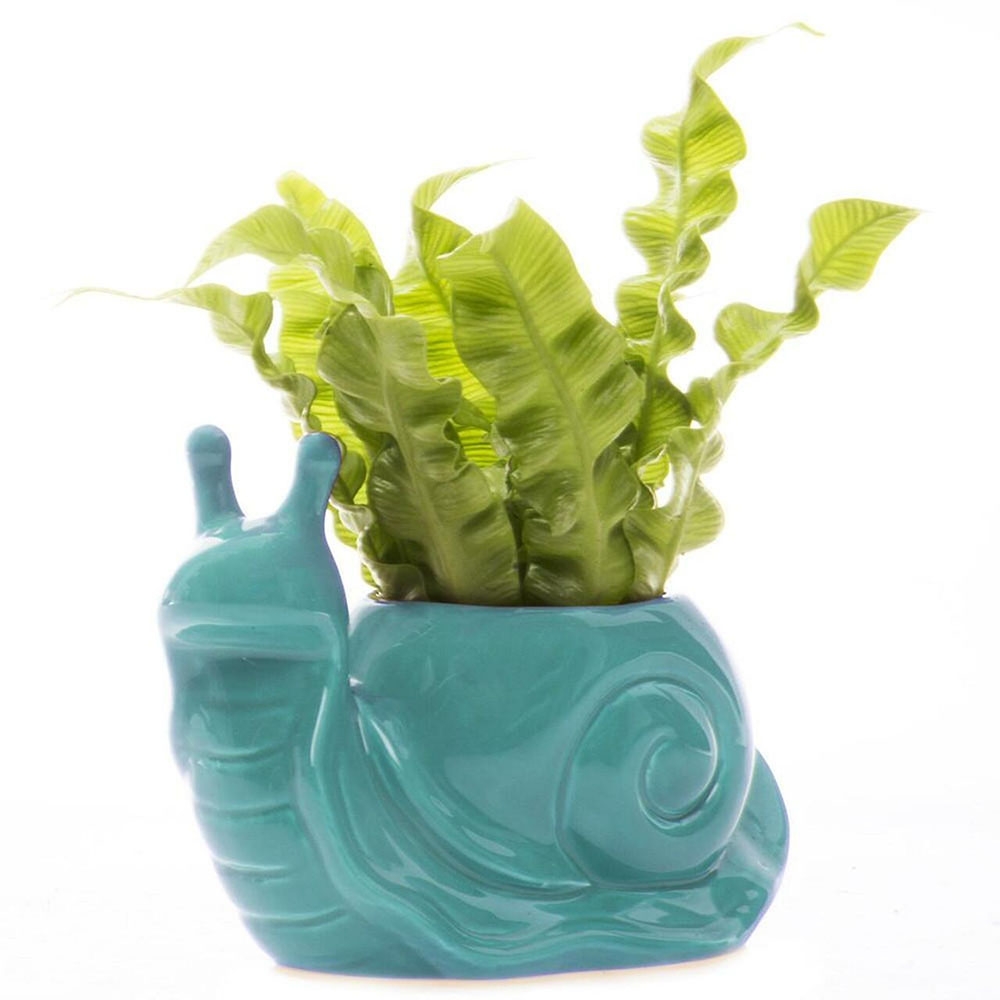 snail vase