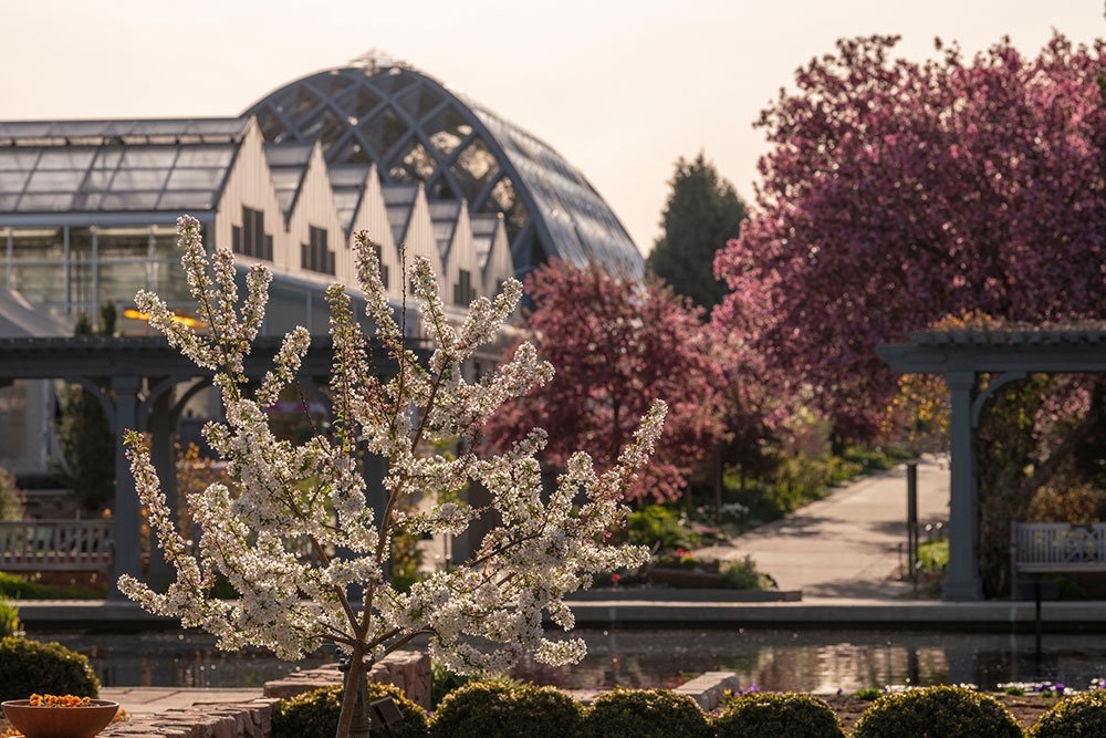 Looking toward Shady Lane