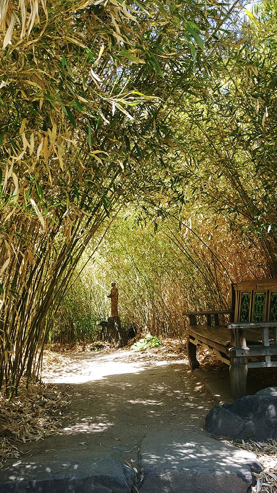 Bamboo in June's PlantAsia