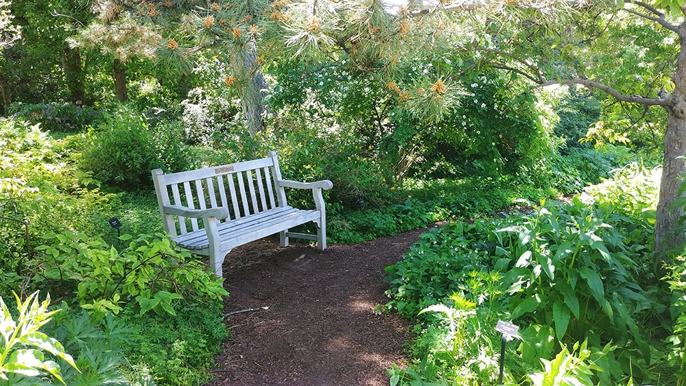 One of Shady Lane's inviting benches