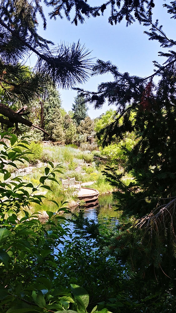 View to Plains Garden from waterfall area in Gates Montane