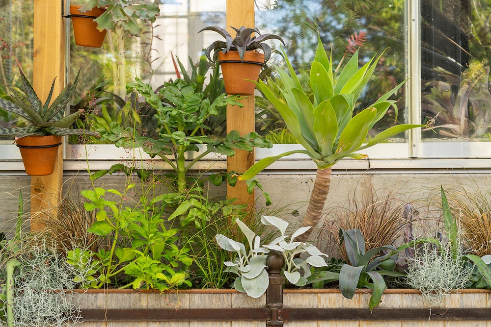 Summer display gallery1