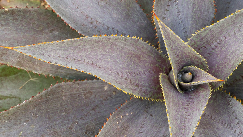 Summer display gallery3