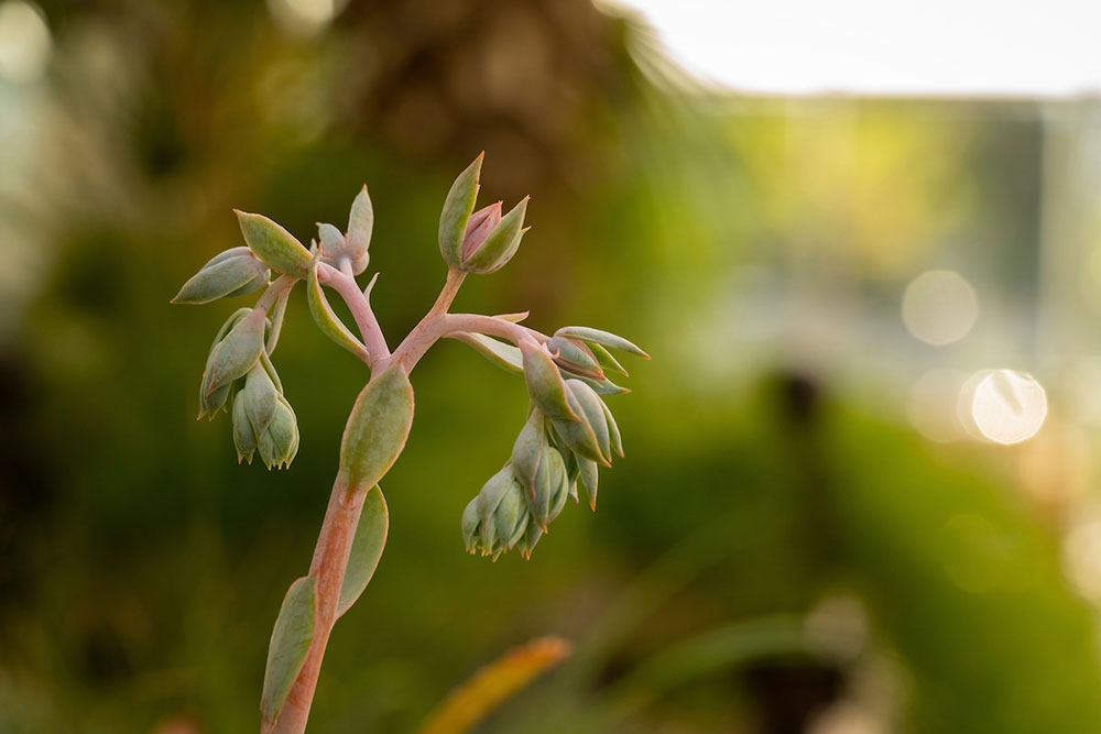 Summer display gallery4