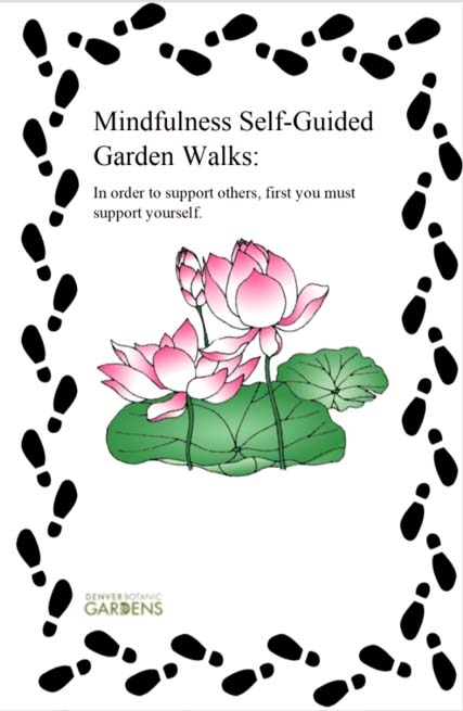 walking program cover