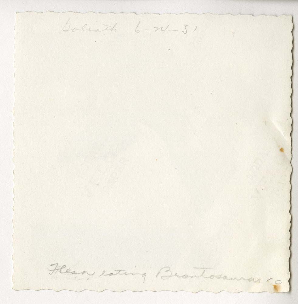 Flesh eating Brontosaurus back