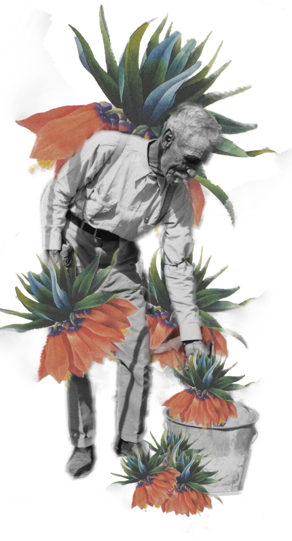 Tya Alisa Anthony, “Seven of Pentacles,” digital collage, 2020.