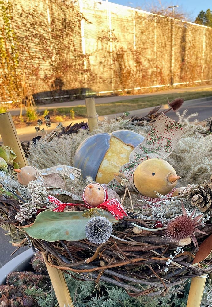 A family of bottle gourd birds