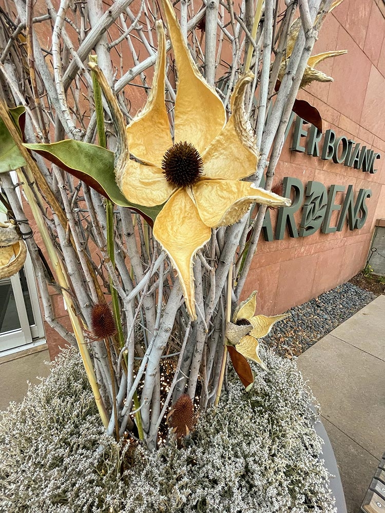 Entry arrangement with flowers made from Asclepias speciosa pods